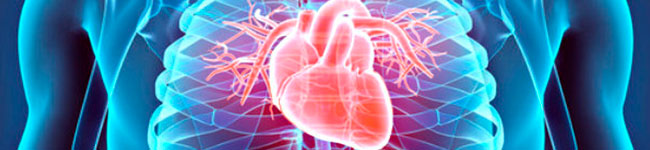 HiperColl: Medicamento Natural Para Abaixar Colesterol e Pressão Alta